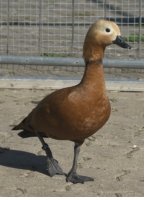 较量从来不