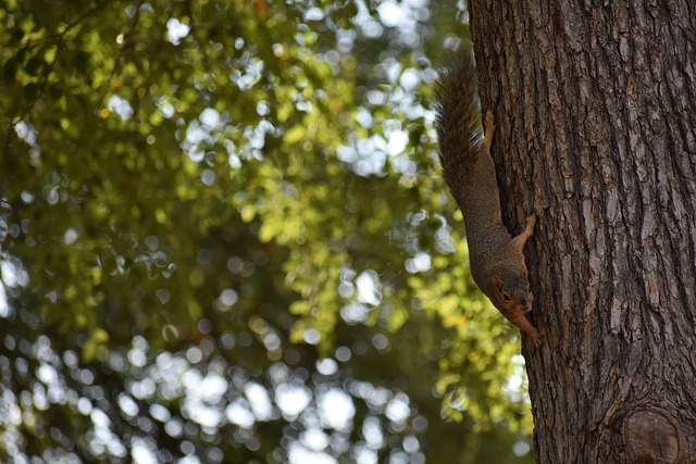 和灵活性 和灵活性