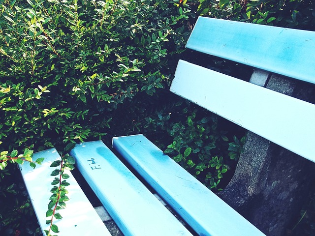 的训练法精 的训练法精