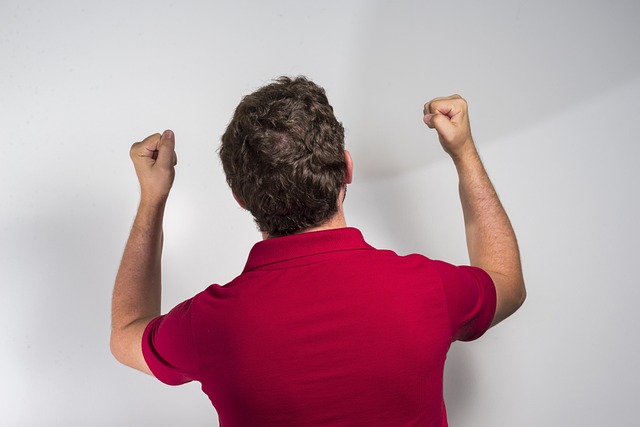 主场的观众 主场的观众