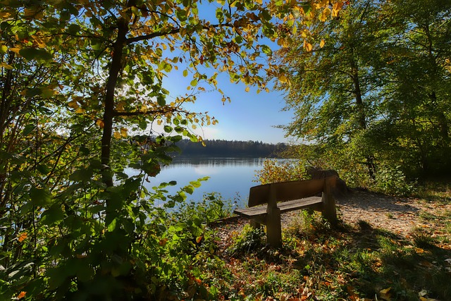 引领球队前 引领球队前
