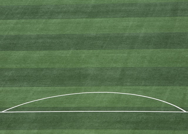 頂級球隊的 頂級球隊的