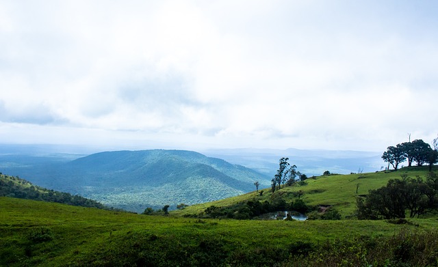 球員的精彩 球員的精彩